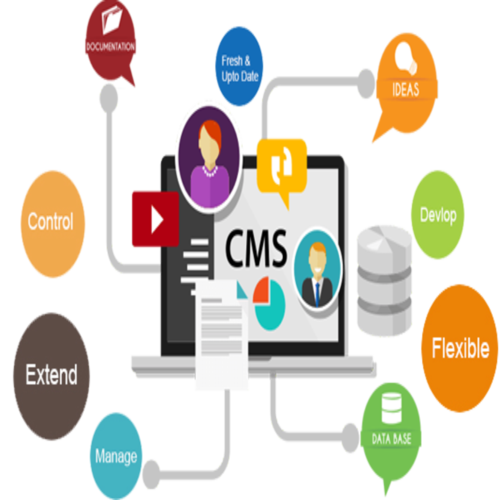 Cms Web Development